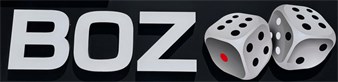 BOZ RENT A CAR