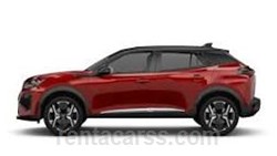 AYN OTOMOTİV İNŞ SAN VE TİC LTD ŞTİ Kiralık PEUGEOT 2008
